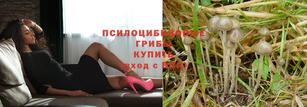 гашик Армянск