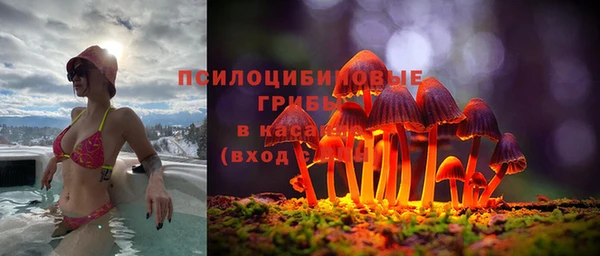 гашик Армянск