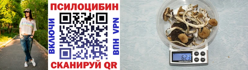 ОМГ ОМГ вход  наркота  Спасск  Псилоцибиновые грибы MAGIC MUSHROOMS 